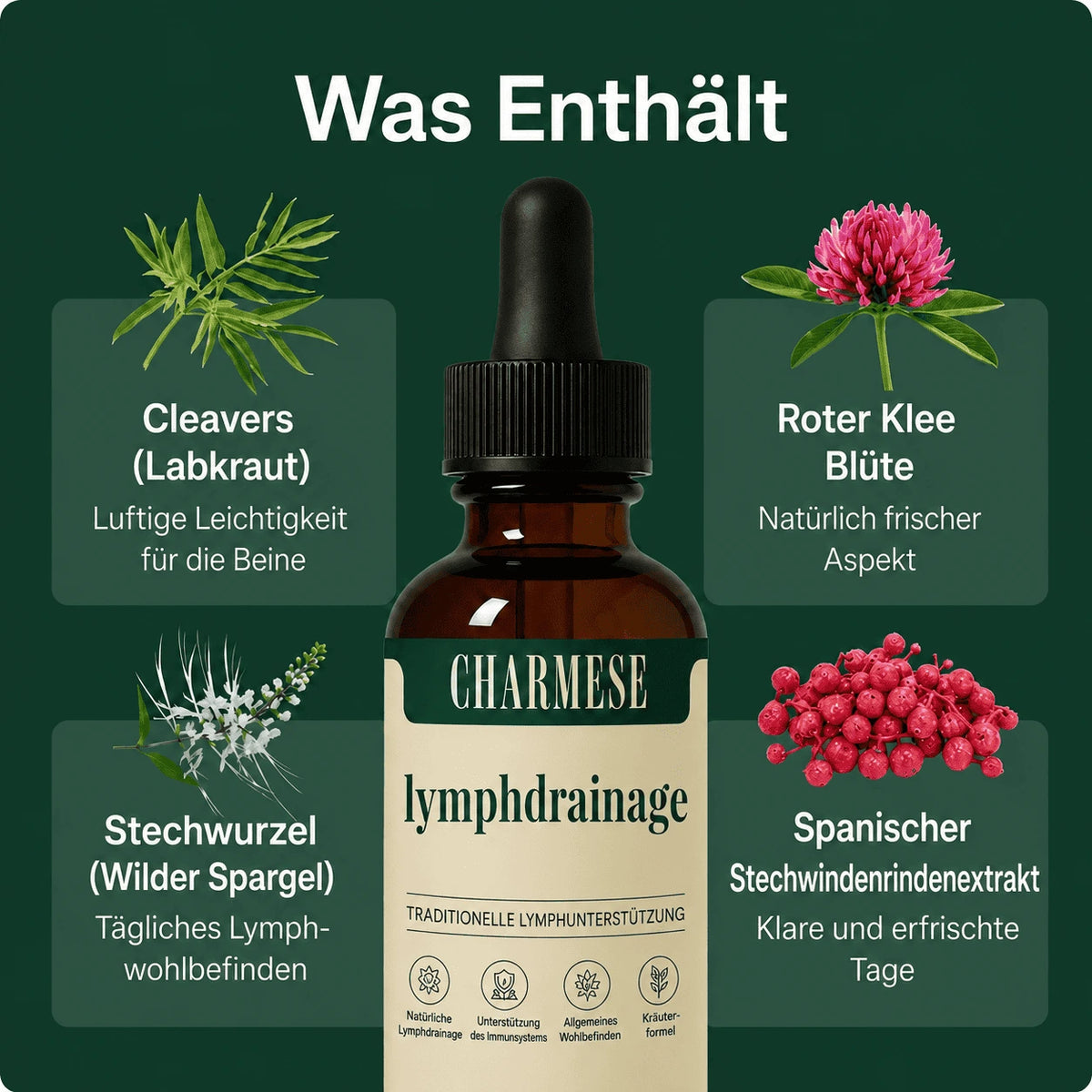 Charmese® Lymphdrainage-Tropfen